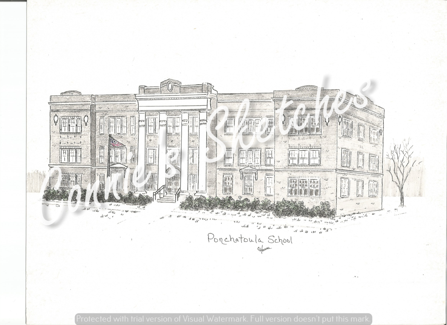 Ponchatoula School – Connie’s Sketches
