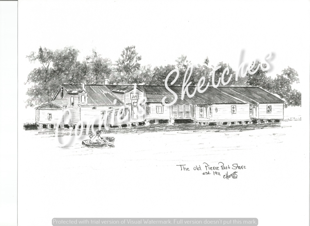 Pierre Part Connie’s Sketches